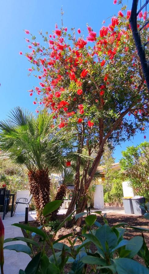 La Villetta Tre Palme Valledoria  Exteriér fotografie
